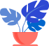 tutorwala